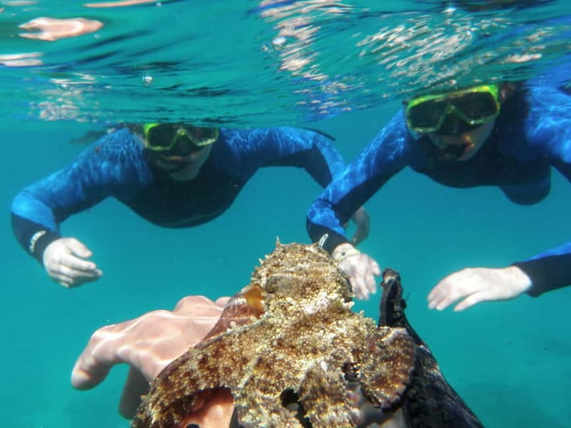 Fuerteventura: 1 hour private mini-cruise on Lobos Island - Final Thoughts: Who Should Book This Tour?