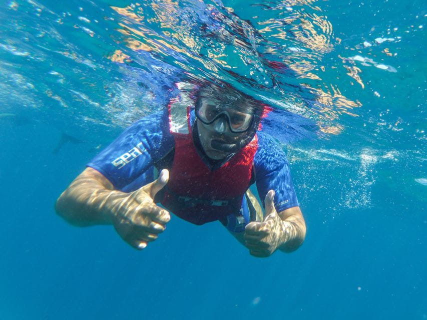 Fuerteventura: 2-Hour Kayaking and Snorkeling Excursion - Customer Feedback