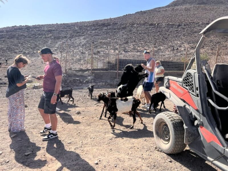 Fuerteventura : 2 hours Buggy Tour in Punta de Jandía - Final Thoughts: Is It Worth It?