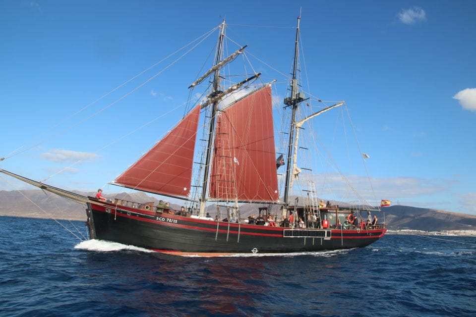 Fuerteventura: 4-Hour Pirate Sailing Adventure - Wildlife Sighting Opportunities
