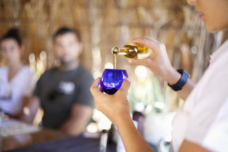 Fuerteventura Aloe & Olivo Tour with Optional Lunch - Exploring Fuerteventura’s Organic Farm: An Authentic Journey