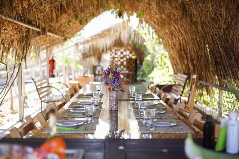 Fuerteventura Aloe & Olivo Tour with Optional Lunch - FAQ