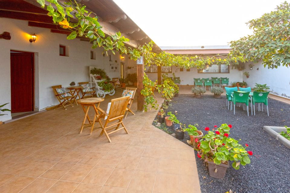 Fuerteventura: Artisan Goats Cheese Making at Local Farm - Arrival and Goat Interaction