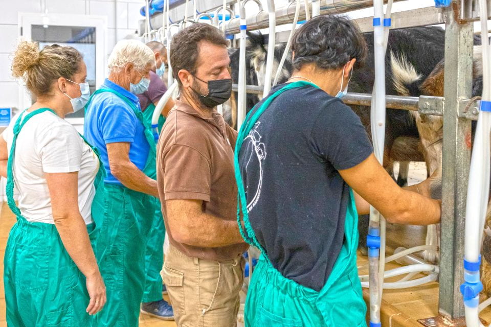 Fuerteventura: Artisan Goats Cheese Making at Local Farm - Customer Feedback
