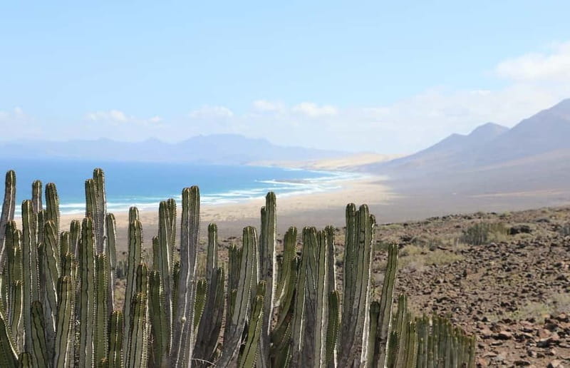 Fuerteventura: Cofete Safari - Price and Value Considerations
