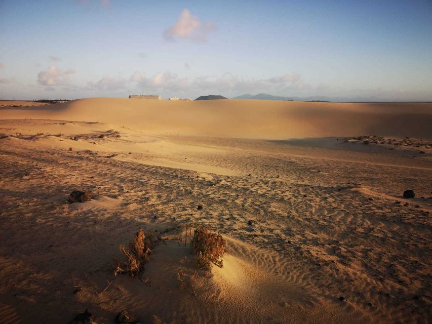 Fuerteventura: Corralejo Sand Dunes for Cruise Passengers - Best Time to Visit