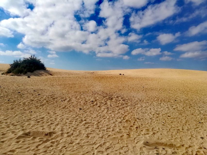 Fuerteventura: Corralejo Sand Dunes for Cruise Passengers - Nearby Attractions
