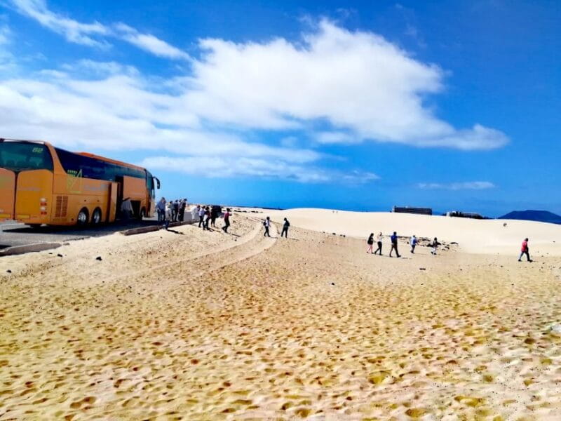 Fuerteventura: Corralejo Sand Dunes Guided Shore Excursion - Returning to Puerto del Rosario: Ease and Punctuality