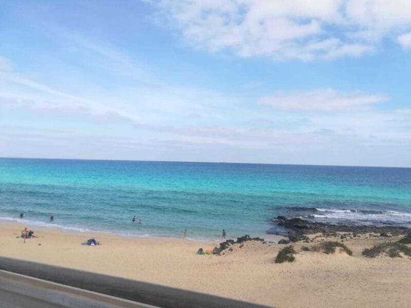 Fuerteventura: Corralejo Sand Dunes Guided Shore Excursion - Who Is This Tour Best Suited For?