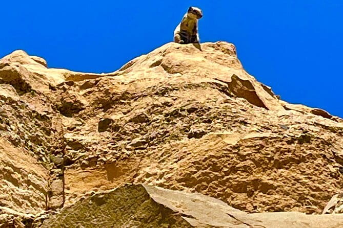 Fuerteventura: Discover Fuerteventura GRAND Islandtour - Final Thoughts