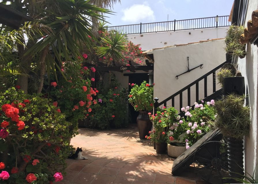 Fuerteventura: Discovery Tour - Itinerary Highlights