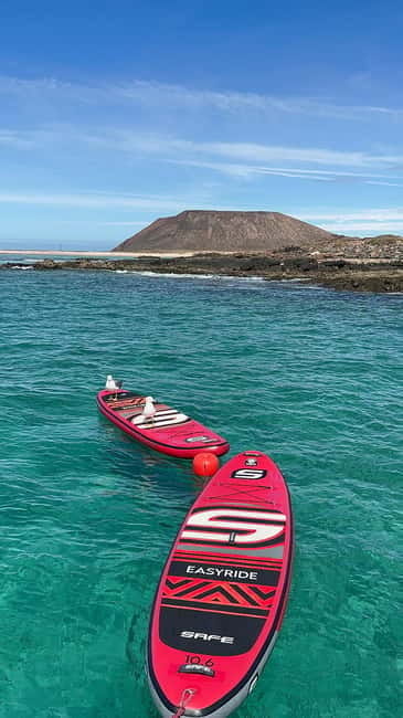 Fuerteventura: Dolphin watching and Lobo Island Combo Cruise - The Experience: In Depth