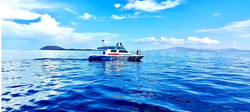 Fuerteventura: Dolphin watching and Lobo Island Combo Cruise - Price and Logistics