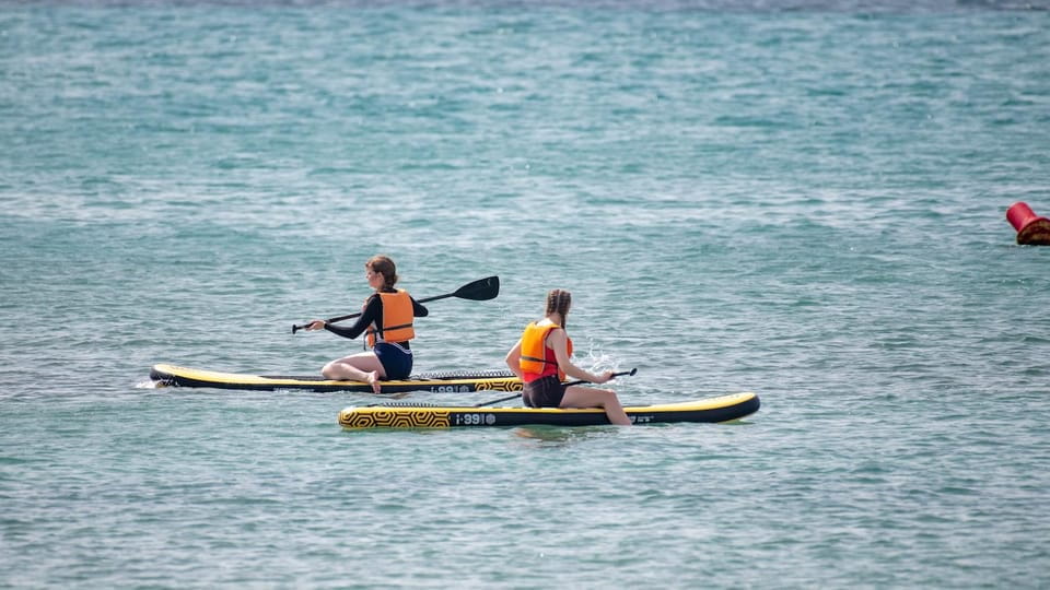 Fuerteventura: Explore Costa Calma Bay on a SUP Board! - Family-Friendly Paddleboarding