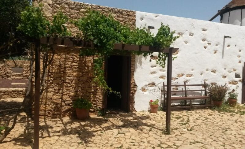 Fuerteventura: Full Day Tour with Lunch - The Itinerary: A Closer Look at Your Day in Fuerteventura