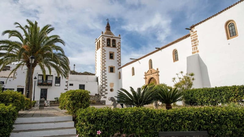 Fuerteventura: Guided Sightseeing Highlights Tour - Who Will Love This Tour?