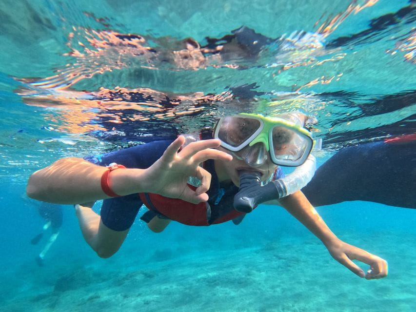 Fuerteventura: Guided Snorkeling in La Lajita With Pickup - Customer Ratings and Feedback