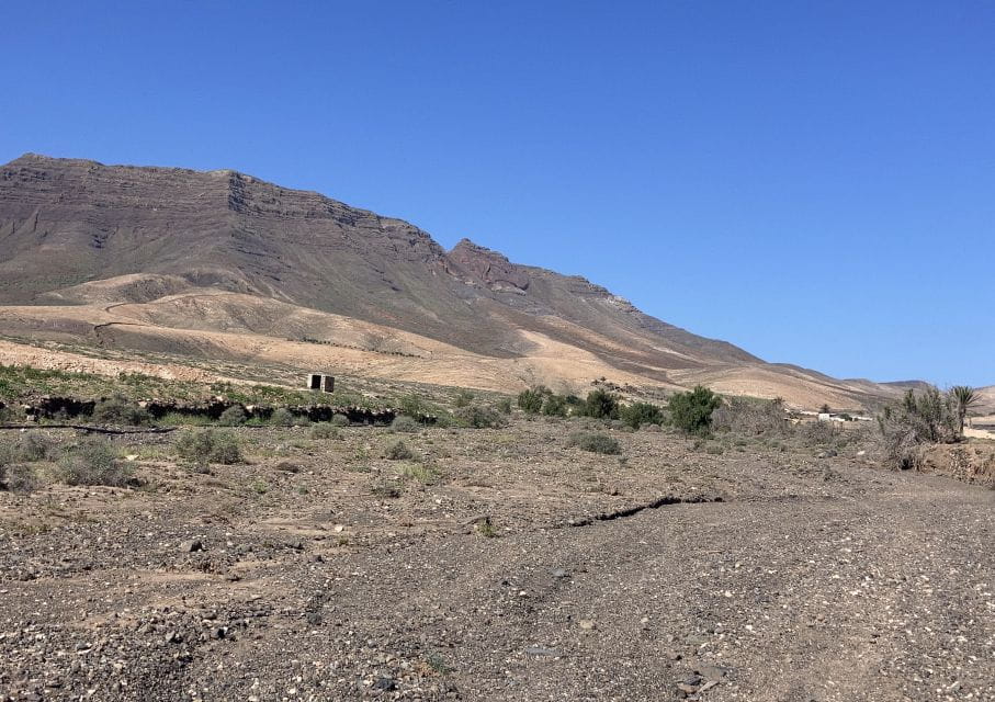Fuerteventura: Guided Trekking Tour With Island Goats - Preparation and Recommendations