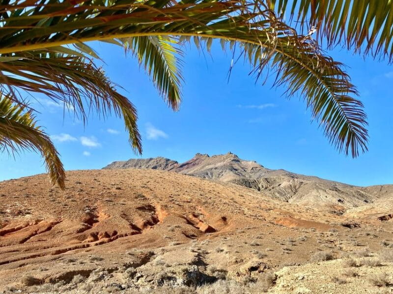 Fuerteventura Hiking up the holy mountain El Cardon - Exploring El Cardon: A Mountain of Mystique and Majesty
