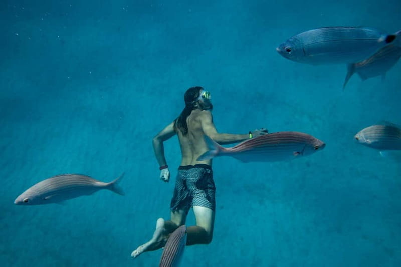 Fuerteventura: Lobos Island Catamaran Cruise with Lunch - Price and Logistics: Great Value for a Full Afternoon