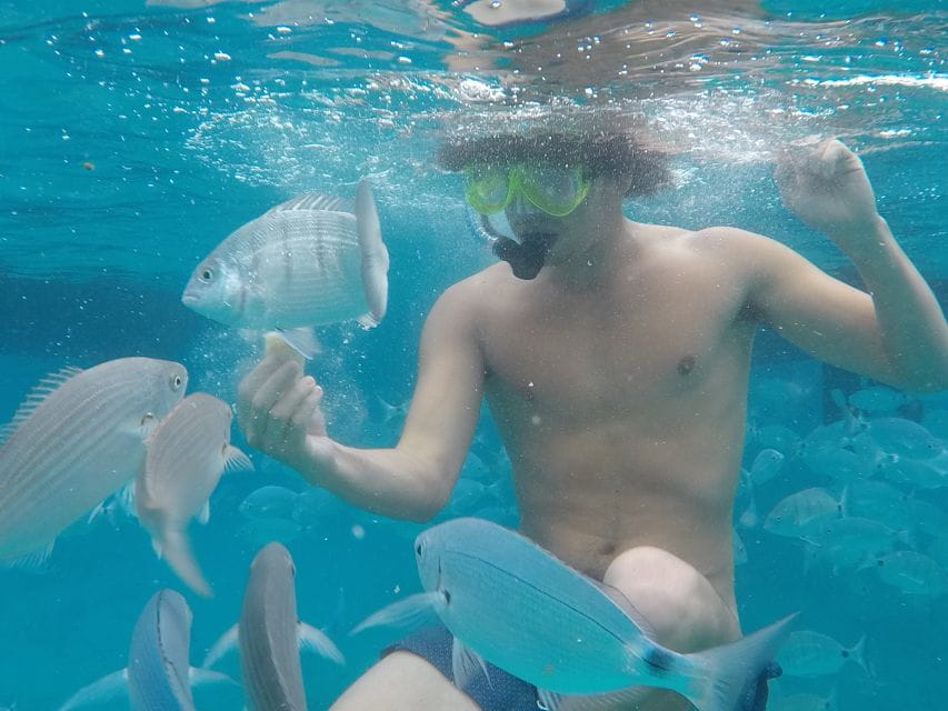 Fuerteventura: Lobos Island Oby Catamaran Cruise - Language and Instructor