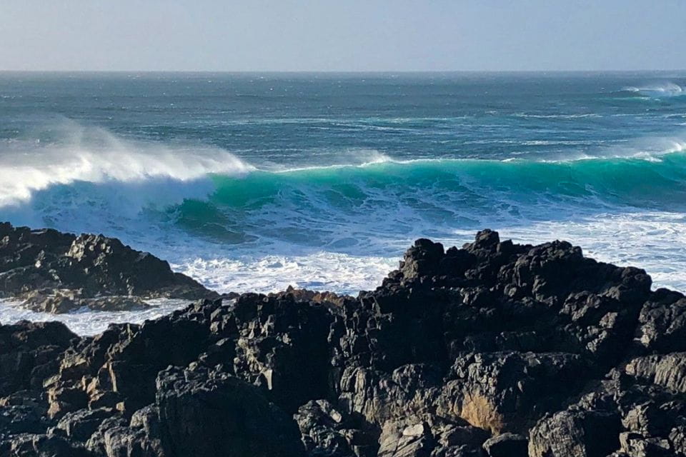 Fuerteventura North Full-Day Tour - Itinerary Highlights