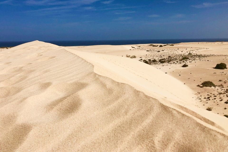 Fuerteventura North Full-Day Tour - Exploring Corralejo Natural Park