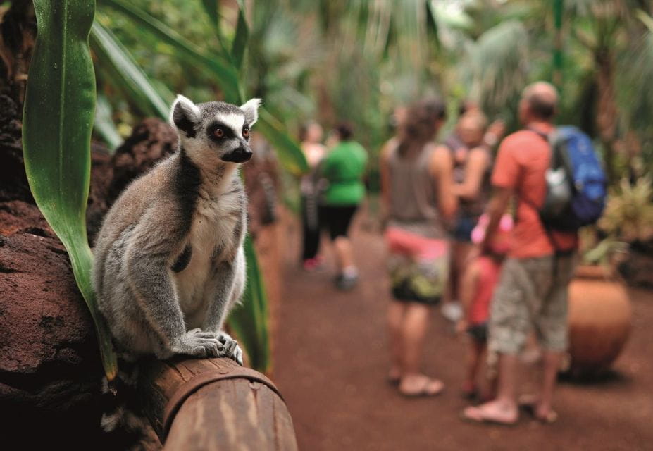 Fuerteventura: Oasis Wildlife Entry Ticket - Interactive Animal Encounters