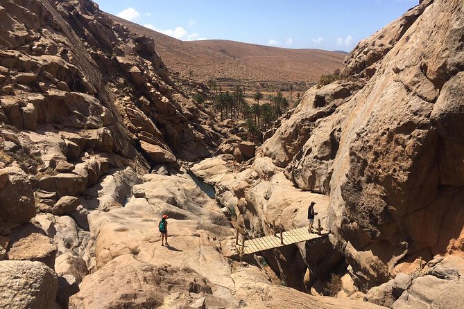 Fuerteventura South Exclusive Tour - Private Transportation