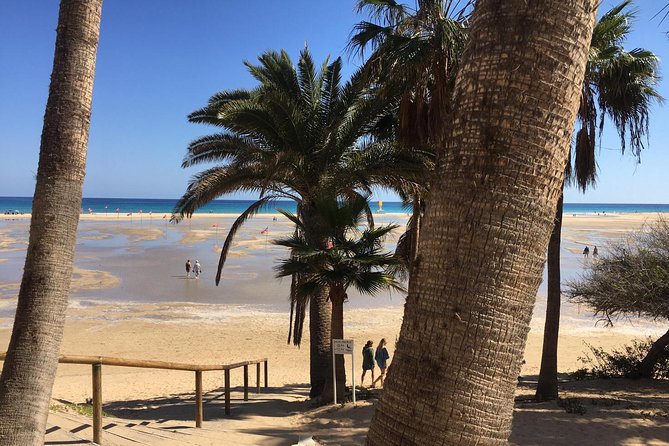 Fuerteventura South Exclusive Tour - Cancellation Policy