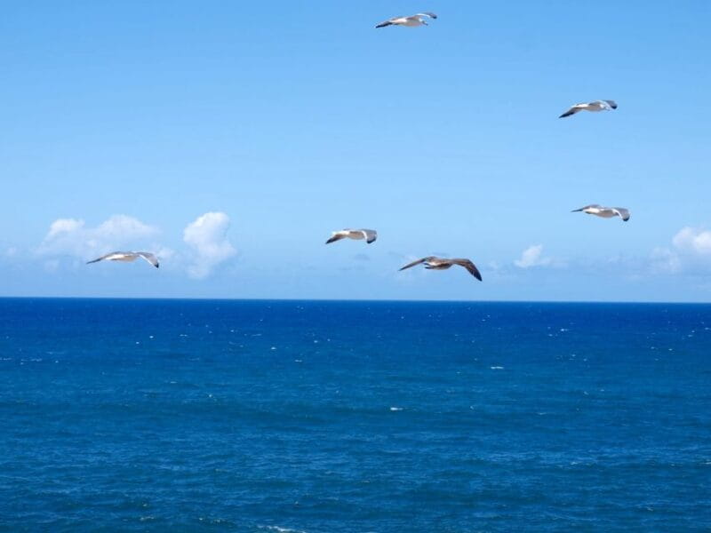 Fuerteventura sunset hike to the wild west coast - In-Depth Look at the Itinerary