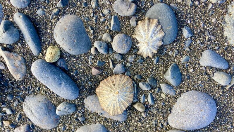 Fuerteventura sunset hike to the wild west coast - Final Thoughts