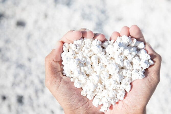 Fuerteventura: The Panoramic Experience. ALL historic highlights. - A Closer Look at the Itinerary