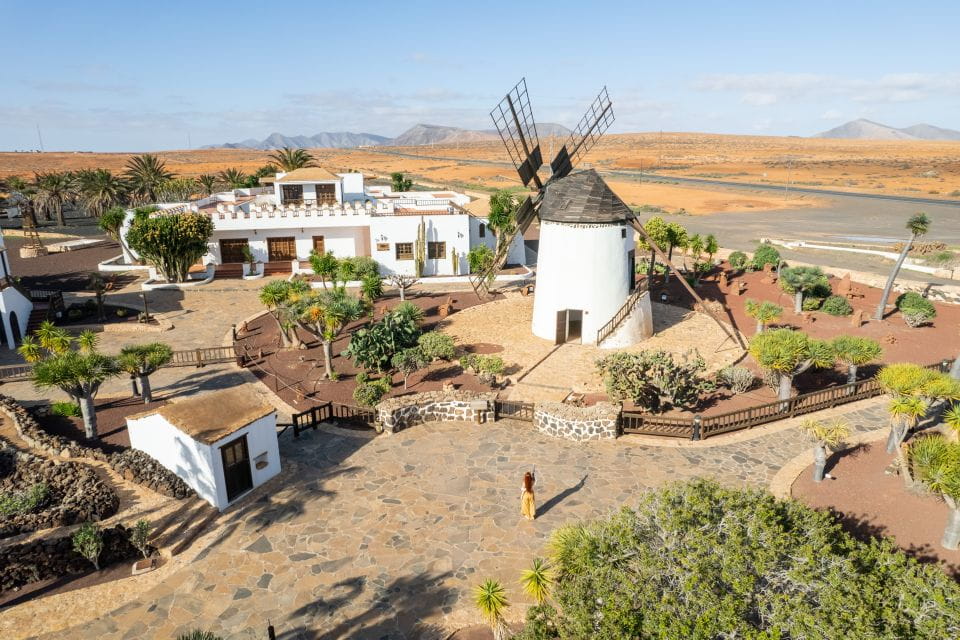 Fuerteventura: Tickets to Salt, Cheese and Windmill Museums - Key Points