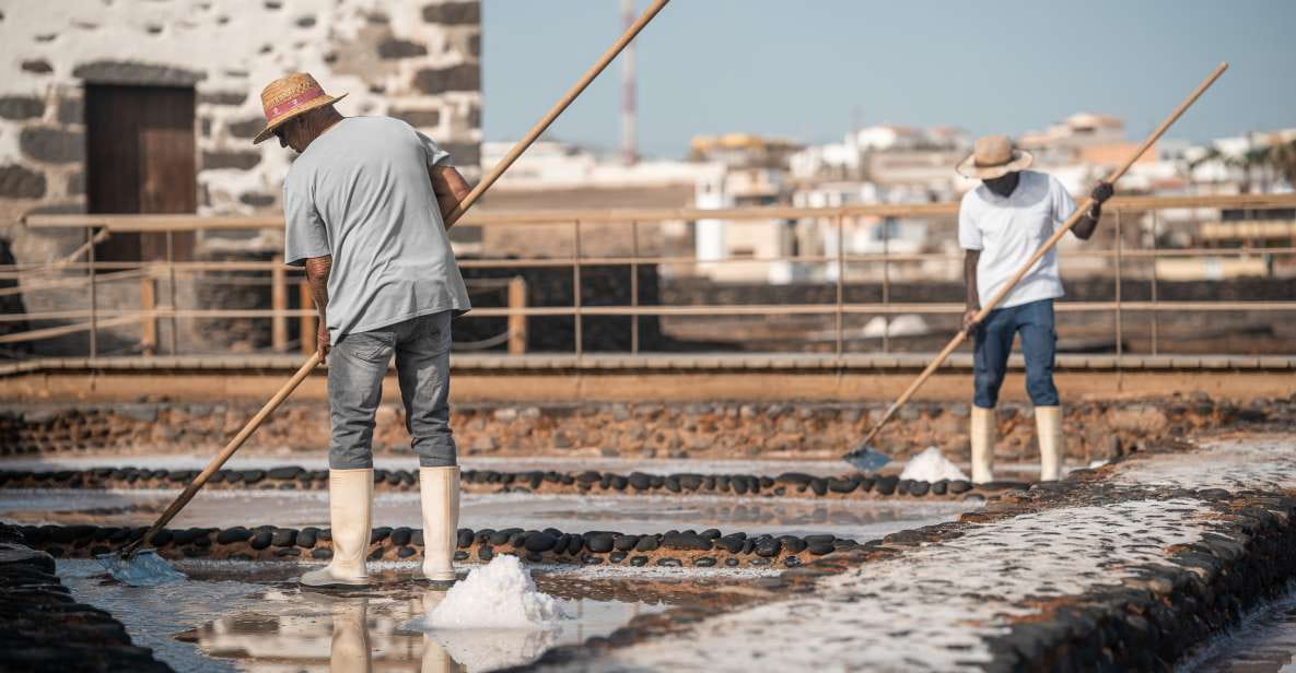 Fuerteventura: Tickets to Salt, Cheese and Windmill Museums - Location and Accessibility Details