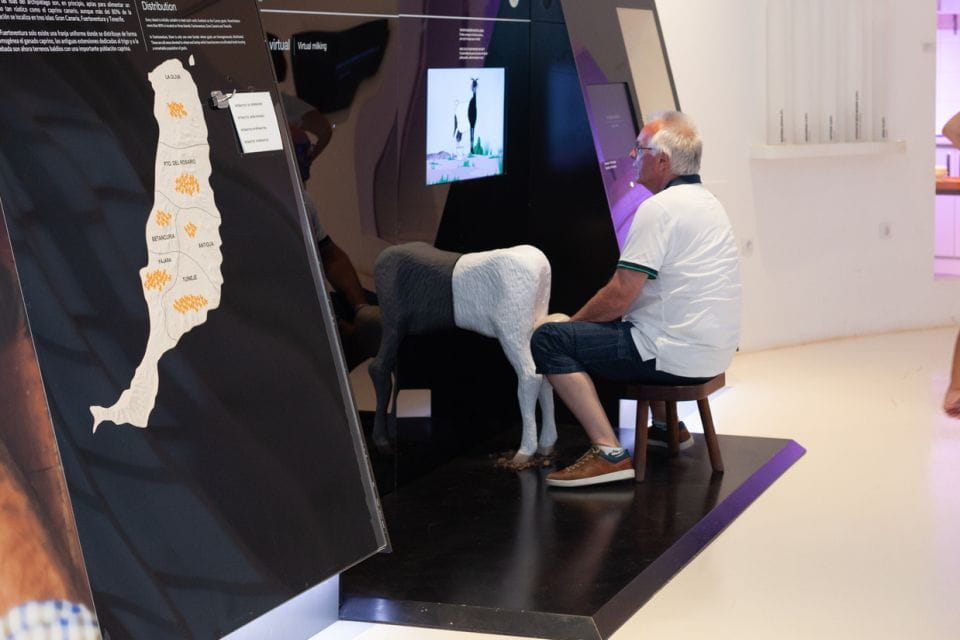 Fuerteventura: Tickets to Salt, Cheese and Windmill Museums - Booking and Cancellation Policies