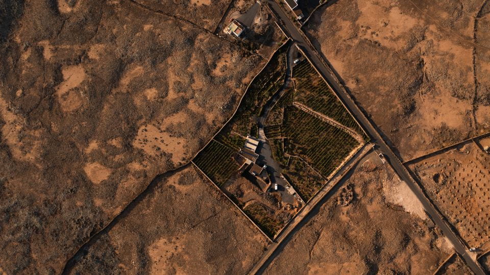 Fuerteventura: Tour of Bodega Conatvs Vineyard With Tasting - Highlights of the Experience