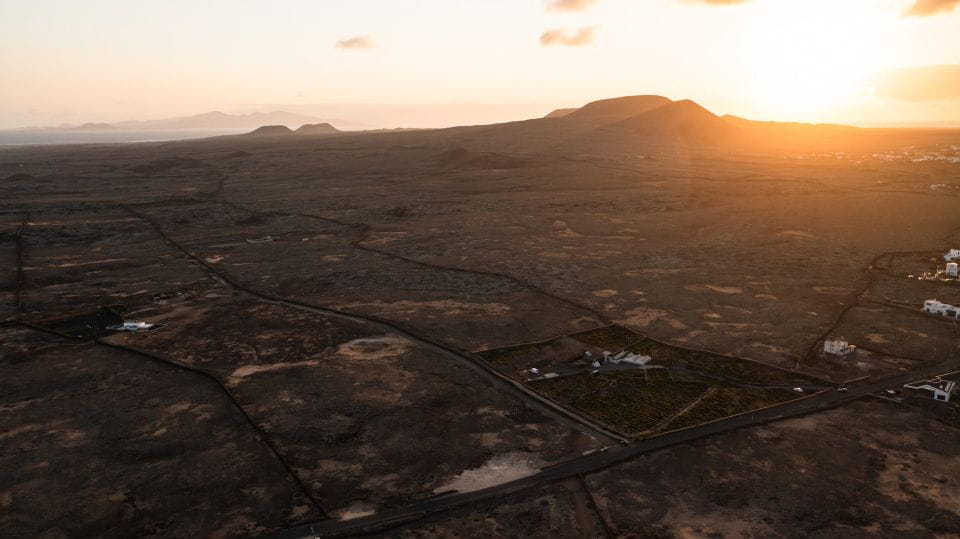 Fuerteventura: Tour of Bodega Conatvs Vineyard With Tasting - Whats Included in the Tour