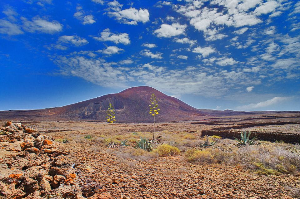 Fuerteventura: Trekking Tour Through the North of the Island - Scenic Locations Explored