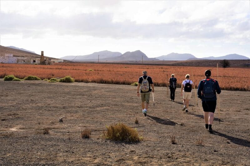 Fuerteventura: volcanic hike to the crater edge - The Guide and Authentic Touches