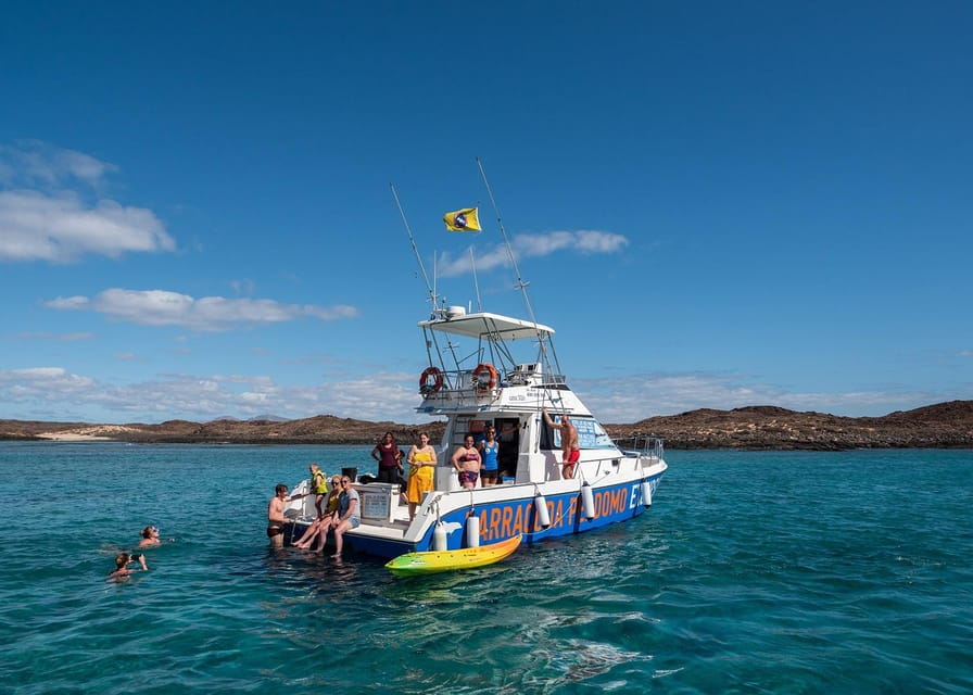 Fuerteventura: Whale & Dolphin Watching Boat Tour With Guide - Inclusions and Highlights