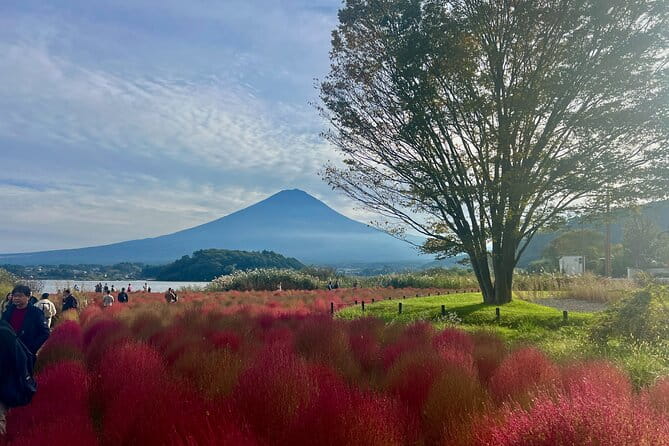 Fuji and Hakone Private Tour With English Guide and Photography - Inclusions and Accessibility
