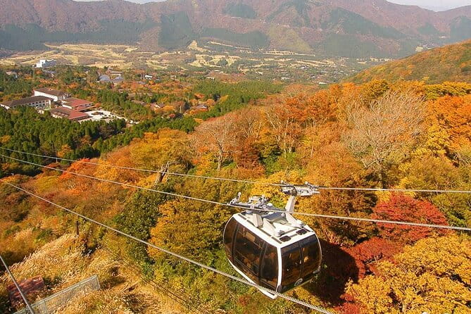 Fuji Day Trip to Hakone Pirate Boat Ropeway Gotemba Outlets - Important Policies and Conditions