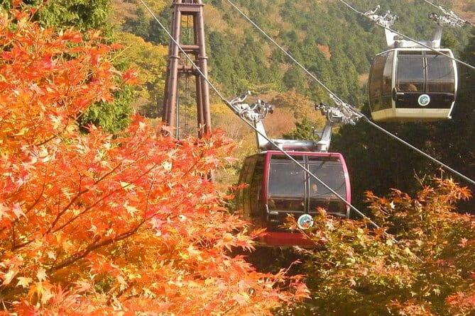 Fuji Day Trip to Hakone Pirate Boat Ropeway Gotemba Outlets - Meeting Point and Arrival Time