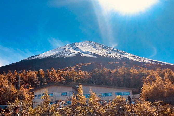 Fuji Kawaguchiko Hakone Private Car Tour - Accessibility Features