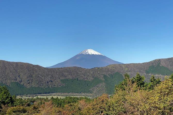 Fuji Kawaguchiko Hakone Private Car Tour - Tips for a Great Experience