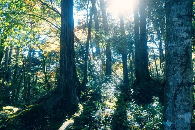 Fuji Photo Tour - Transportation and Accessibility