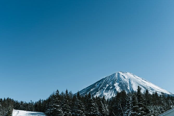 Fujiyama Snow Resort Yeti Winter Ski Day Tour From Tokyo Japan - Meeting Points and Accessibility