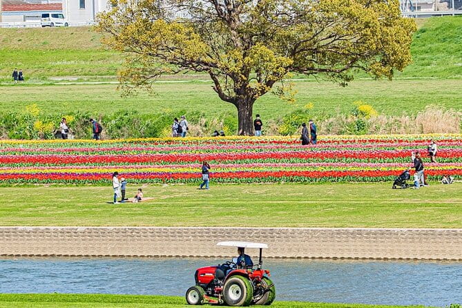 Fukuoka Cherry Blossom and Tulip Tour With Boat Ride Yokabus - Booking and Cancellation Policies
