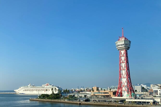 Fukuoka City Walking and Public Transport Tour - Accessibility and Participation